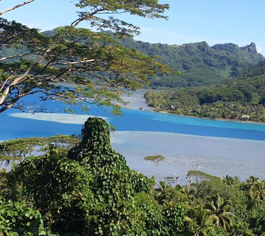 Huahine Manta Lodge Avec 4X4 Optionnel Haapu Екстериор снимка