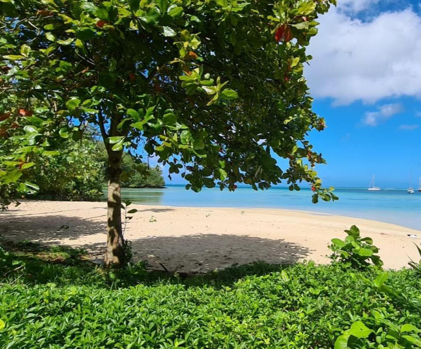 Huahine Manta Lodge Avec 4X4 Optionnel Haapu Екстериор снимка