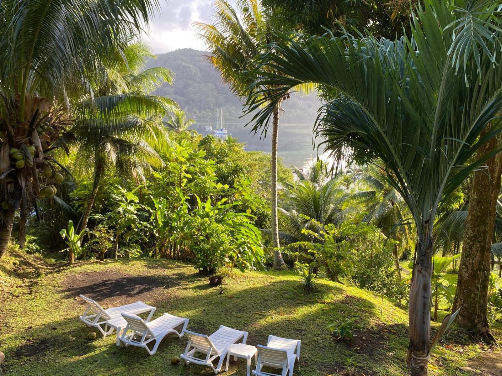 Huahine Manta Lodge Avec 4X4 Optionnel Haapu Екстериор снимка